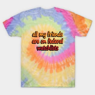 all my friends are on federal watchlists T-Shirt